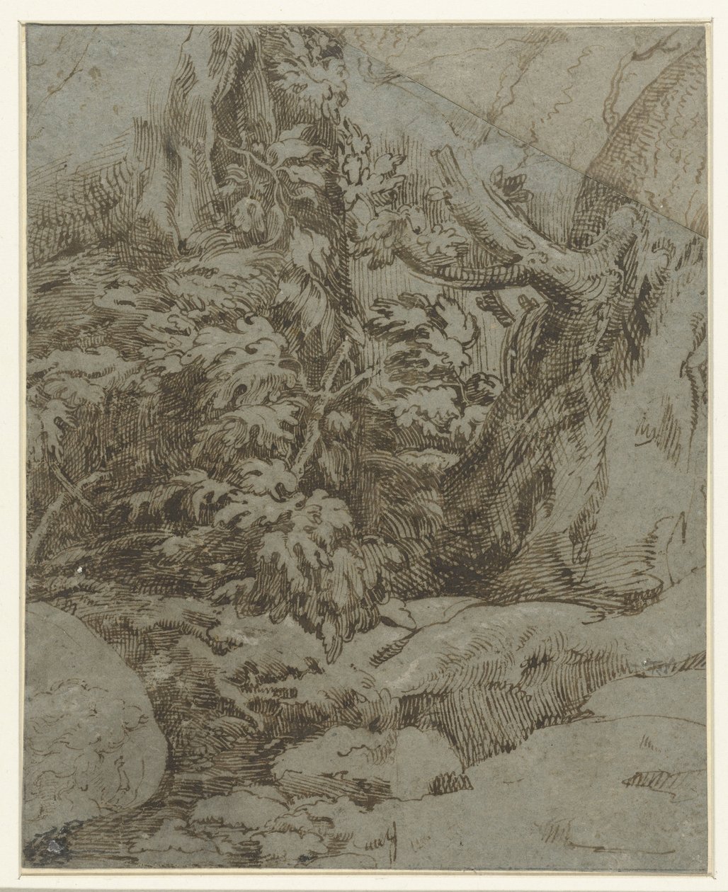 Study of a landscape by Parmigianino
