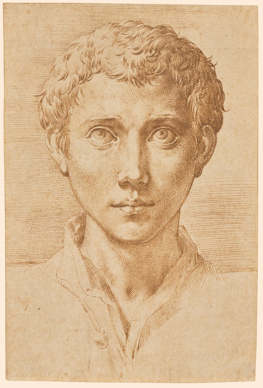 The Head of a Young Man by Parmigianino