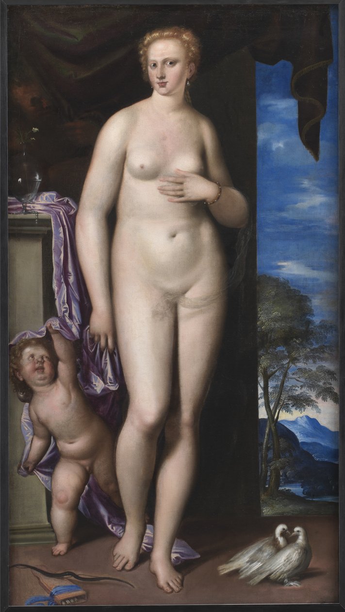 Venus and Cupid by Parrasio Micheli