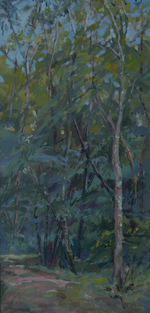 Woodland Path by Pat Maclaurin