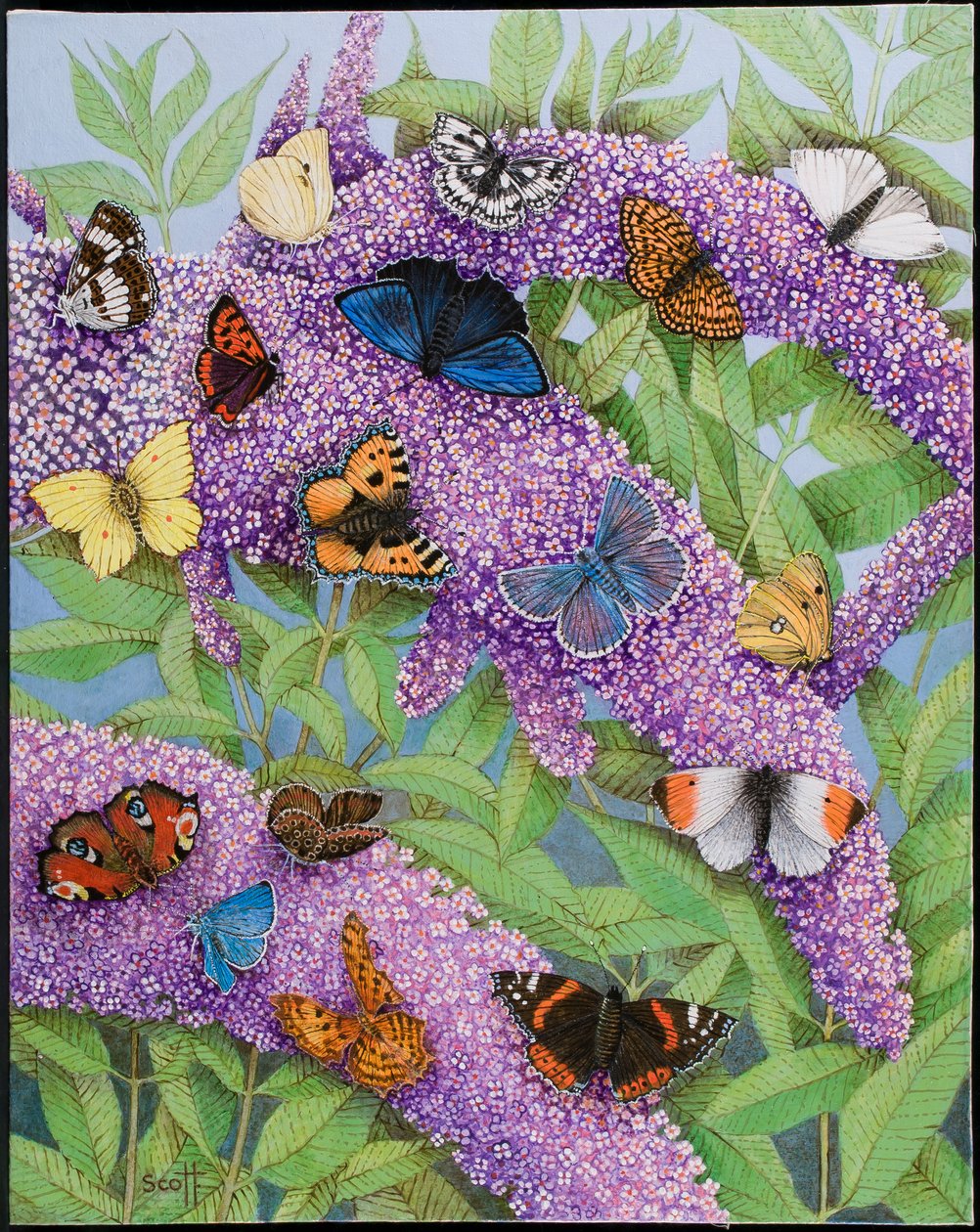 Adventuring, 2011 by Pat Scott