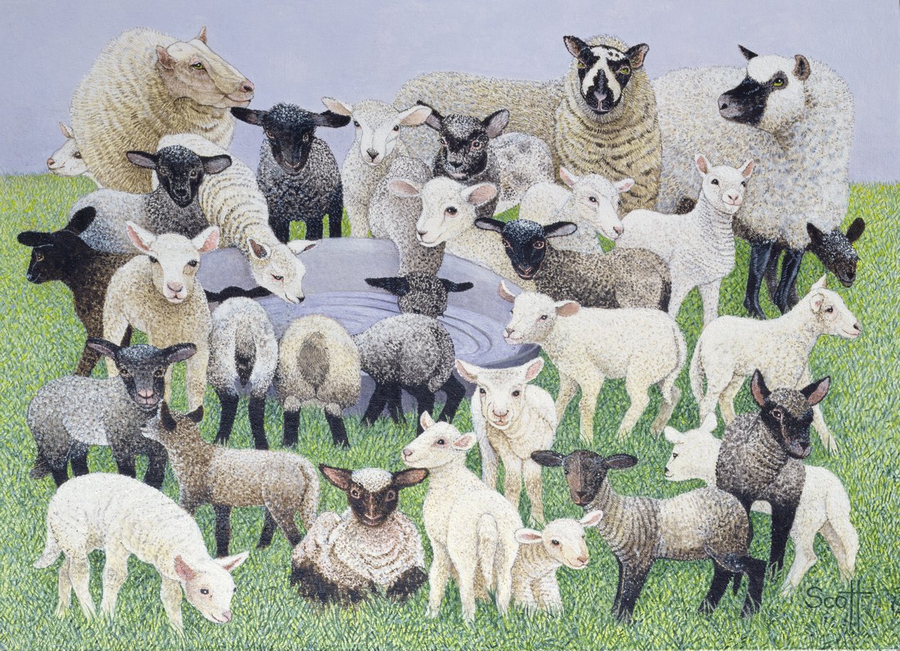 Feeling Sheepish by Pat Scott
