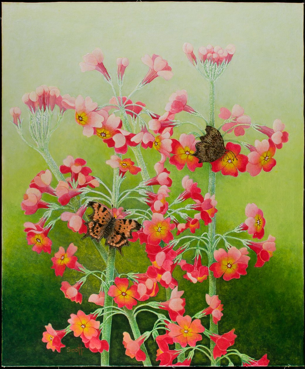 In the Pink, 2011 by Pat Scott