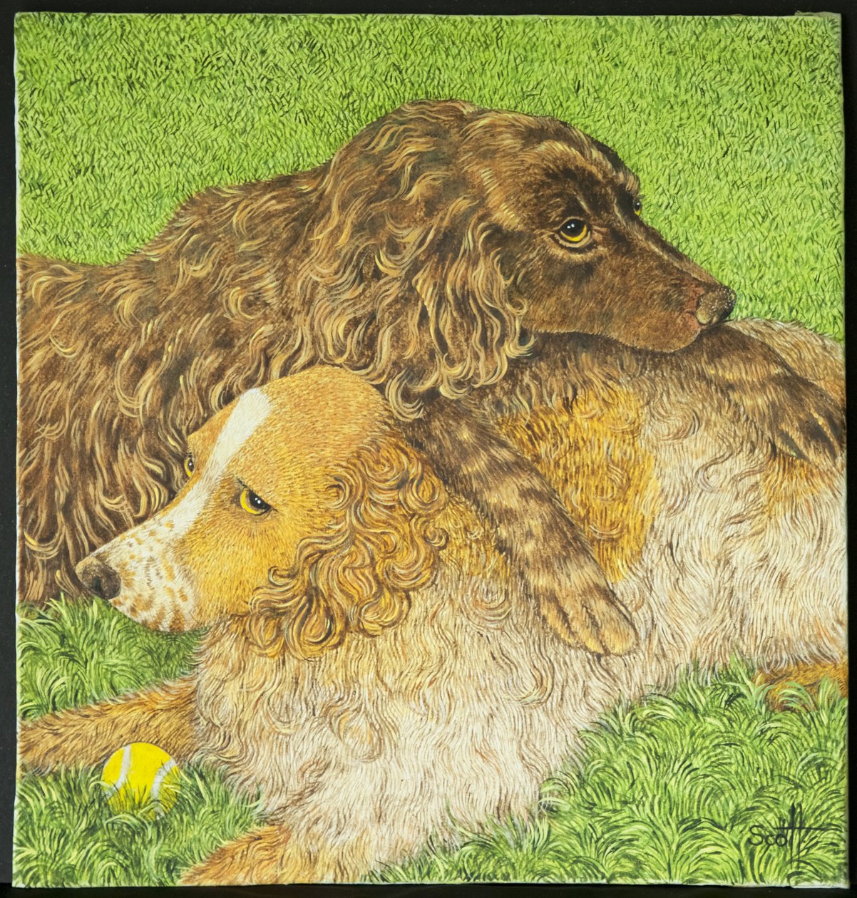 Possession by Pat Scott