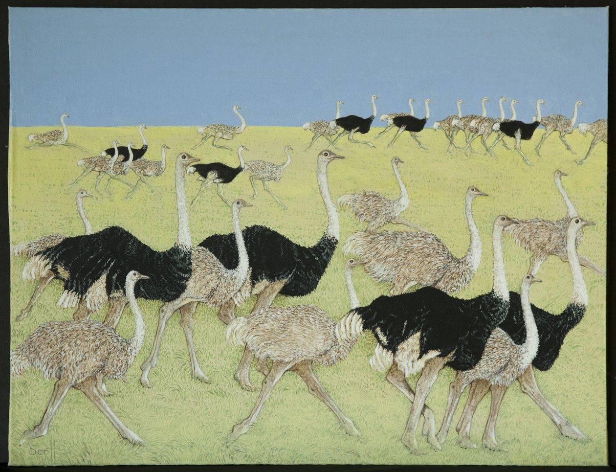 Rush Hour by Pat Scott
