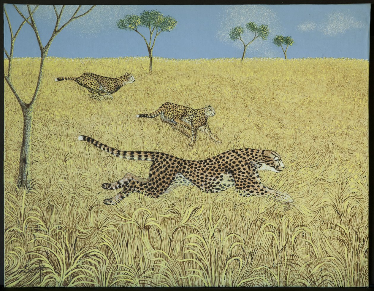 Sheer Speed by Pat Scott