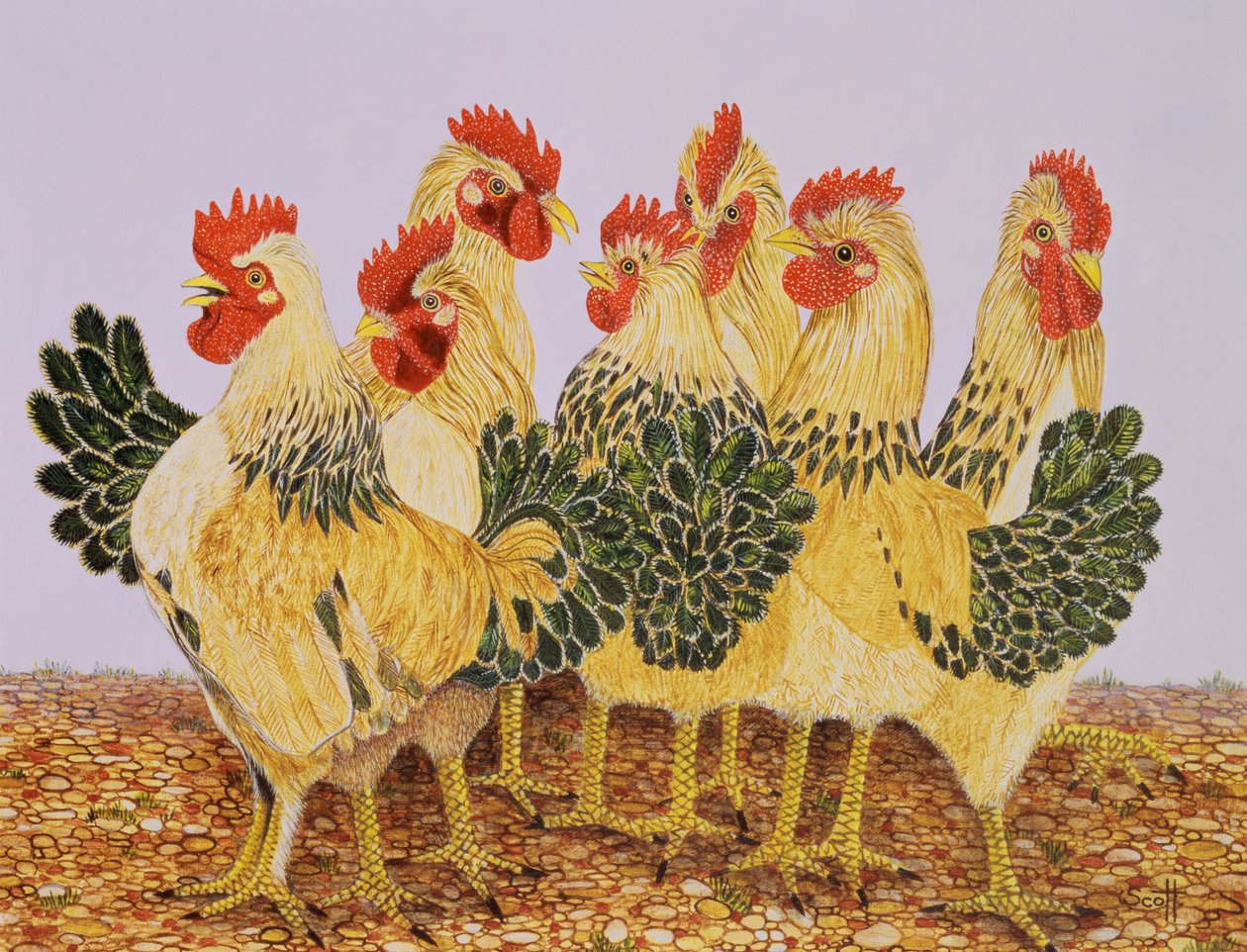 Strutters Ballet by Pat Scott