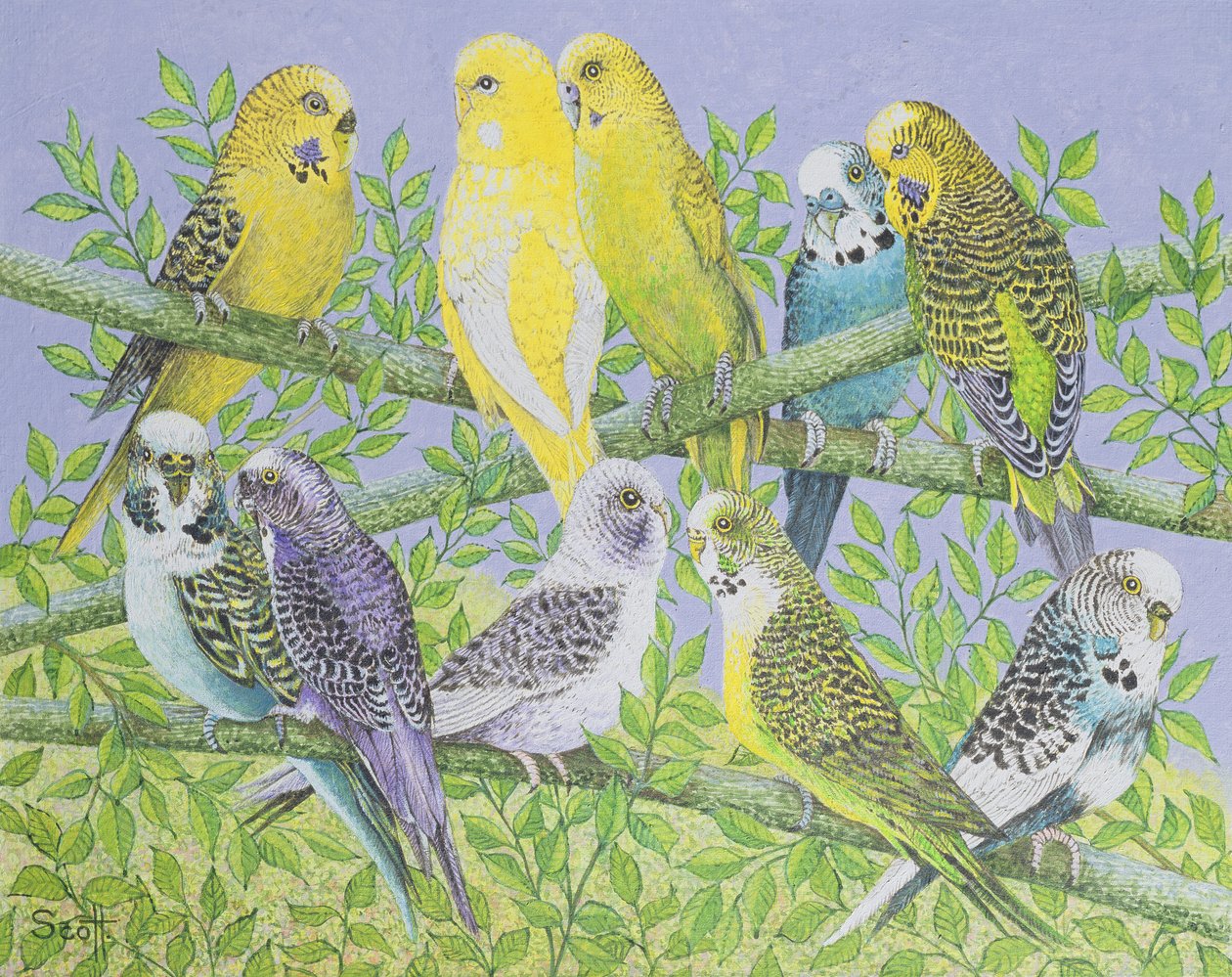 Sweet Talking by Pat Scott