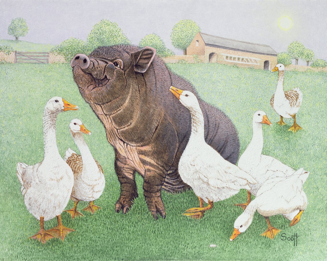 Tasty Morsel by Pat Scott