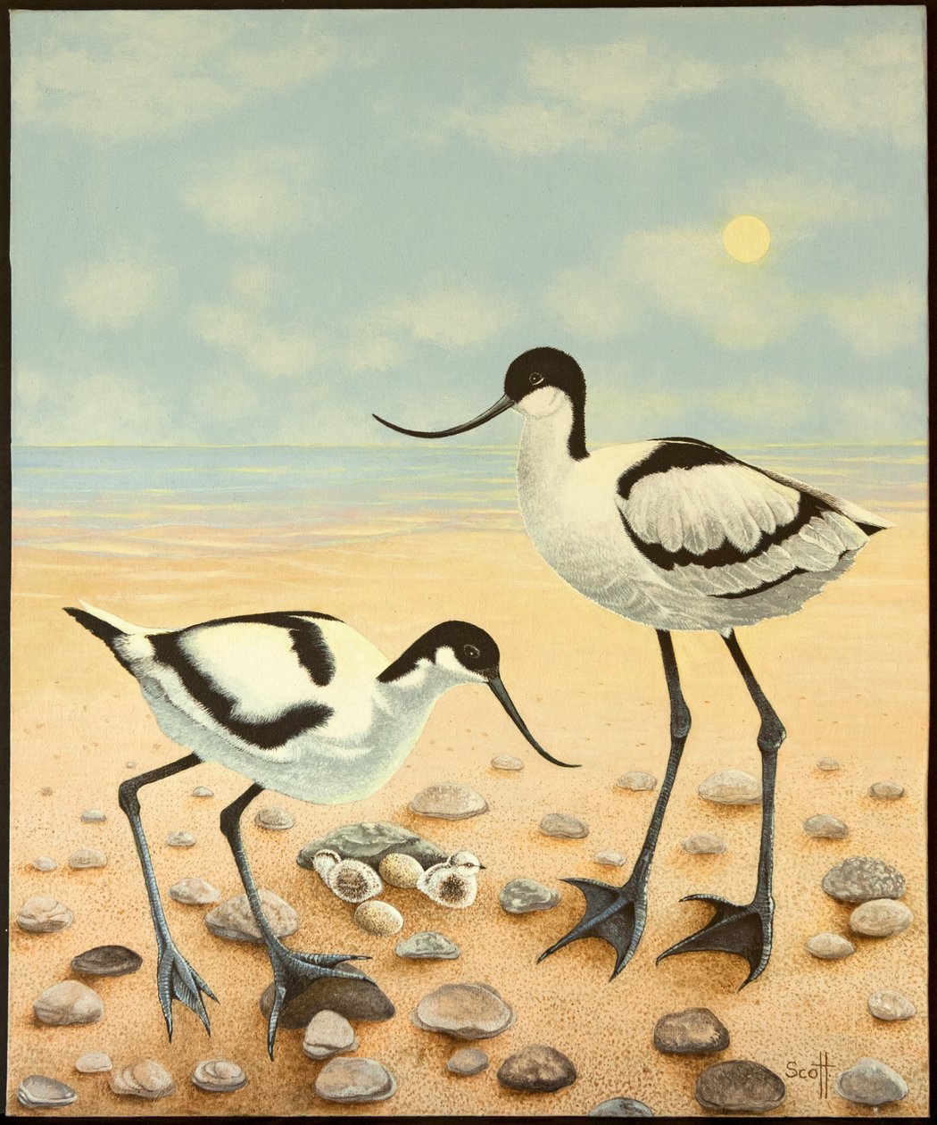 The New Generation, 2012 by Pat Scott