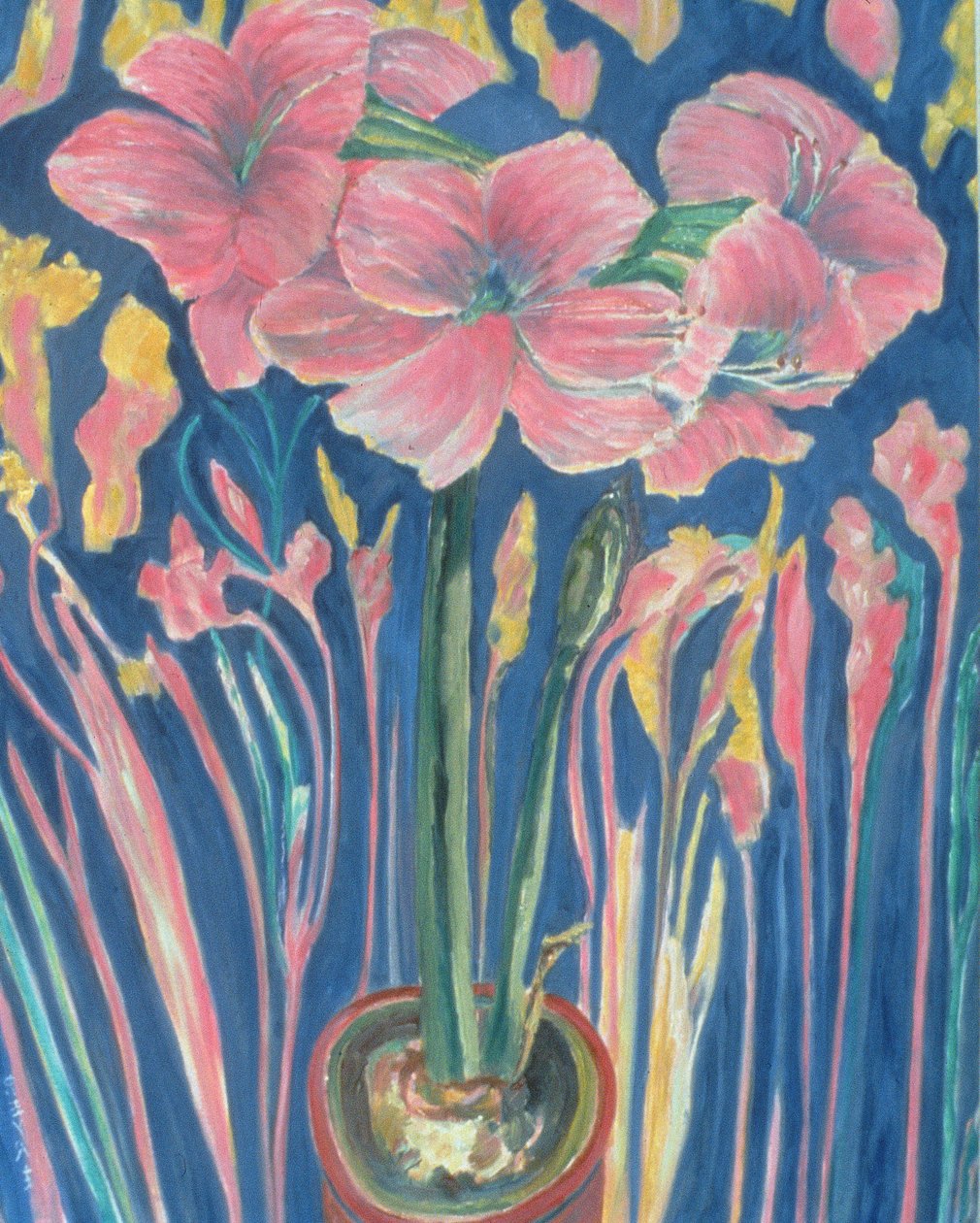 Amaryllis by Patricia Contemporary Artist Eyre