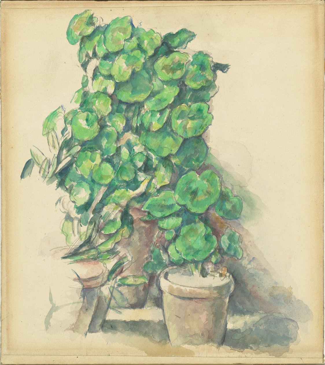 Geraniums by Paul Cézanne