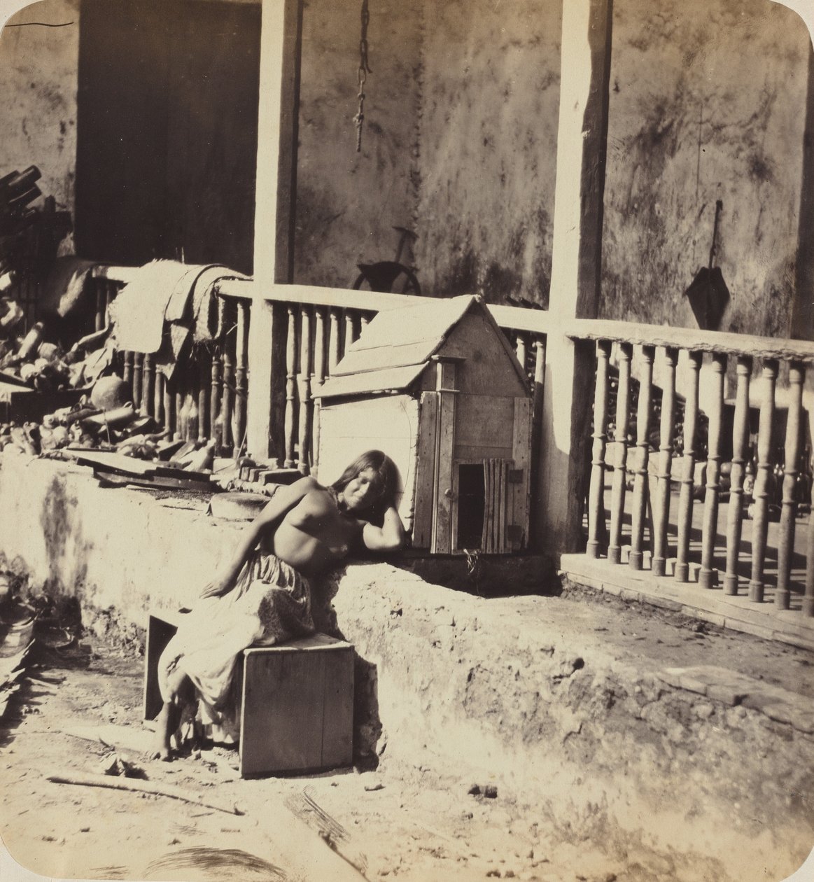 Dog of Garvel (Martinique), 1870s by Paul Emile Miot