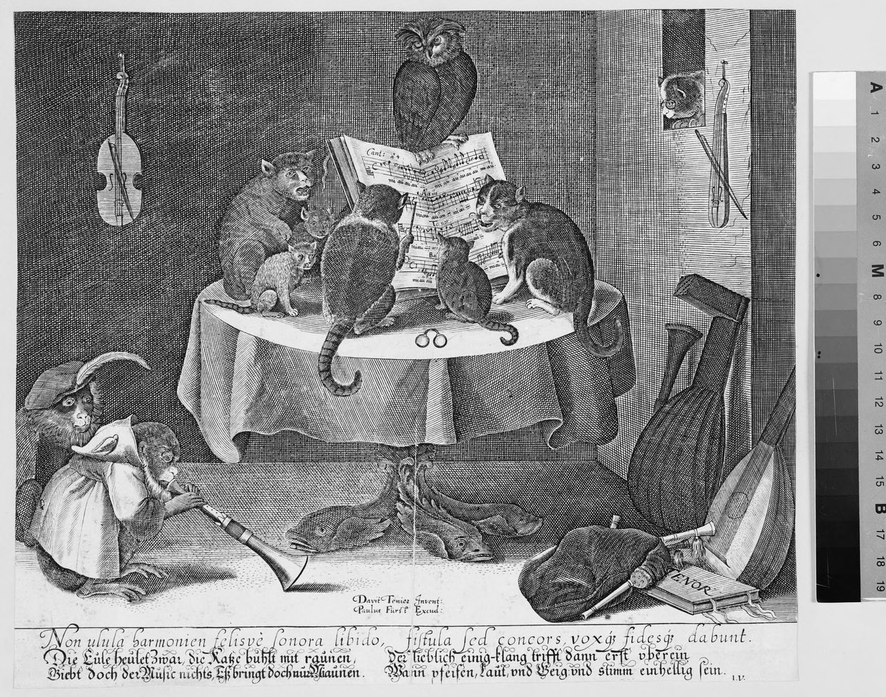 Concert of Owl, Cats, and Monkeys by Paul Fürst