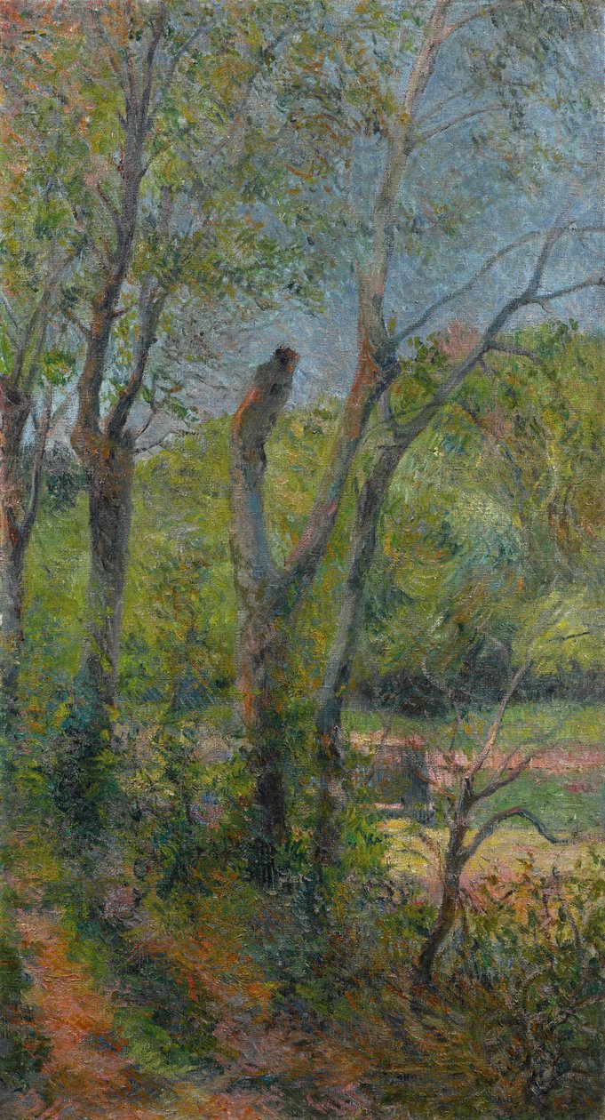 Willows by Paul Gauguin