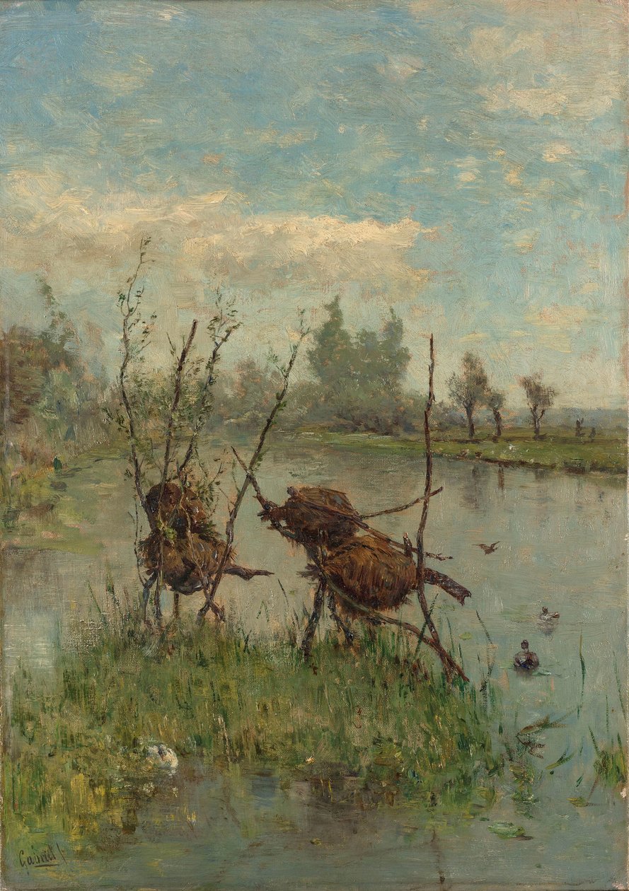 Ducks