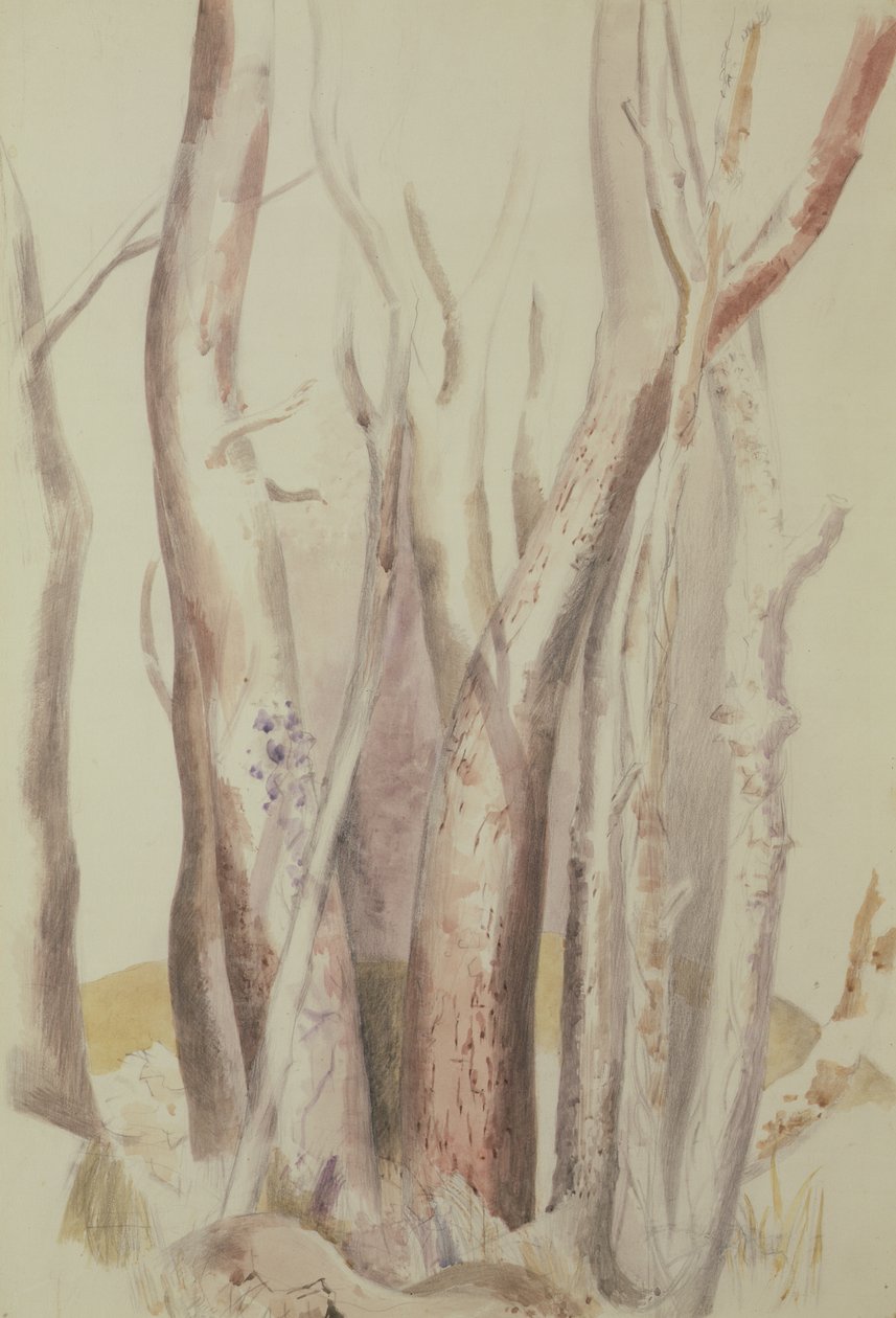 Study of a Wooded Landscape by Paul Nash