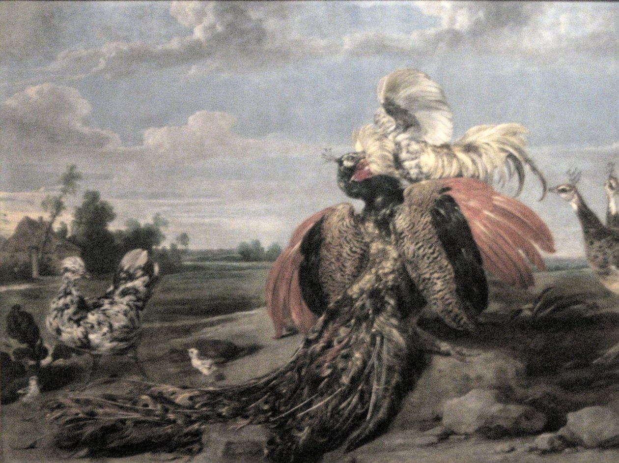 Peacock and Cock Fighting by Paul De Vos