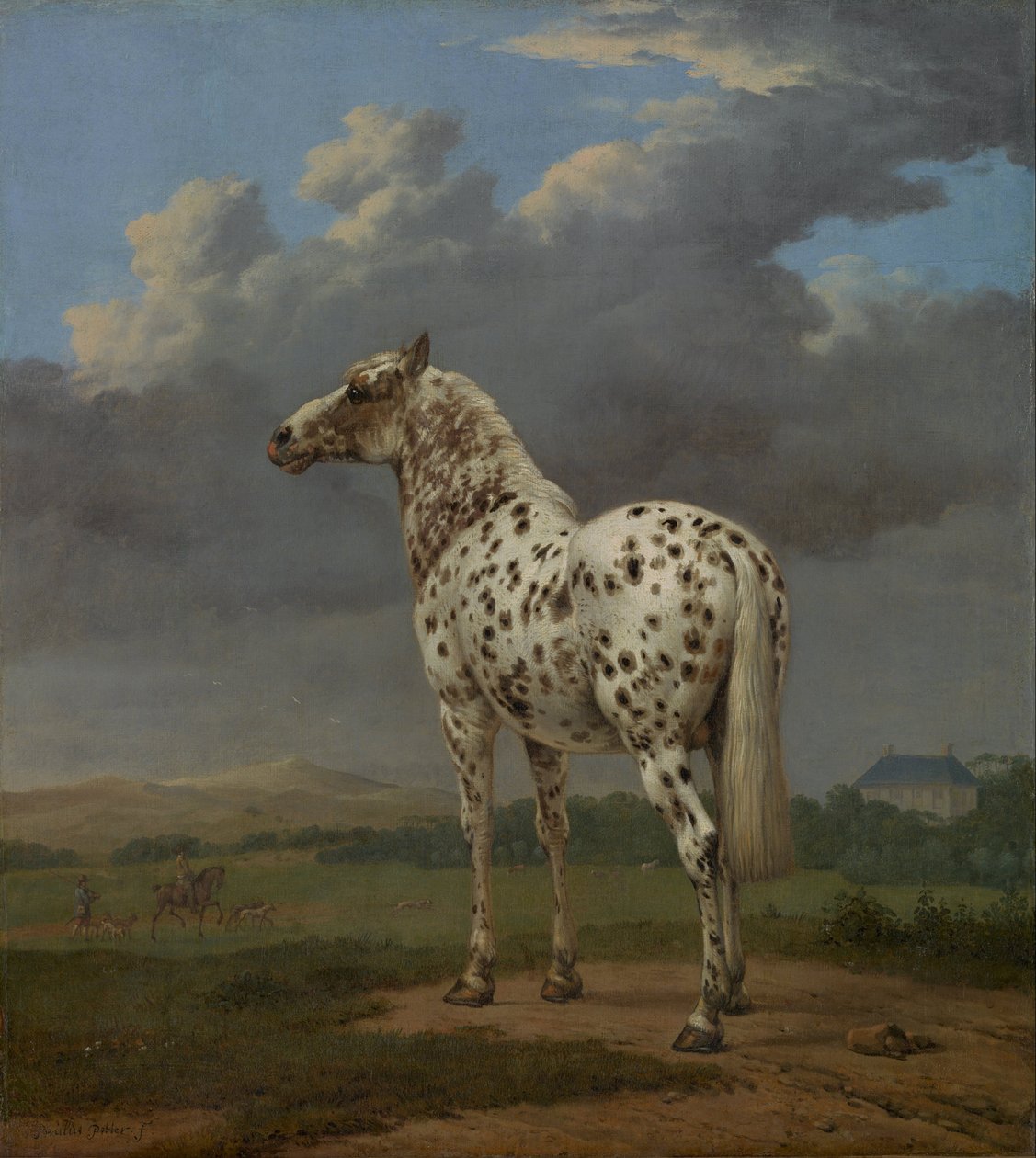 Piebald Horse by Paulus Potter