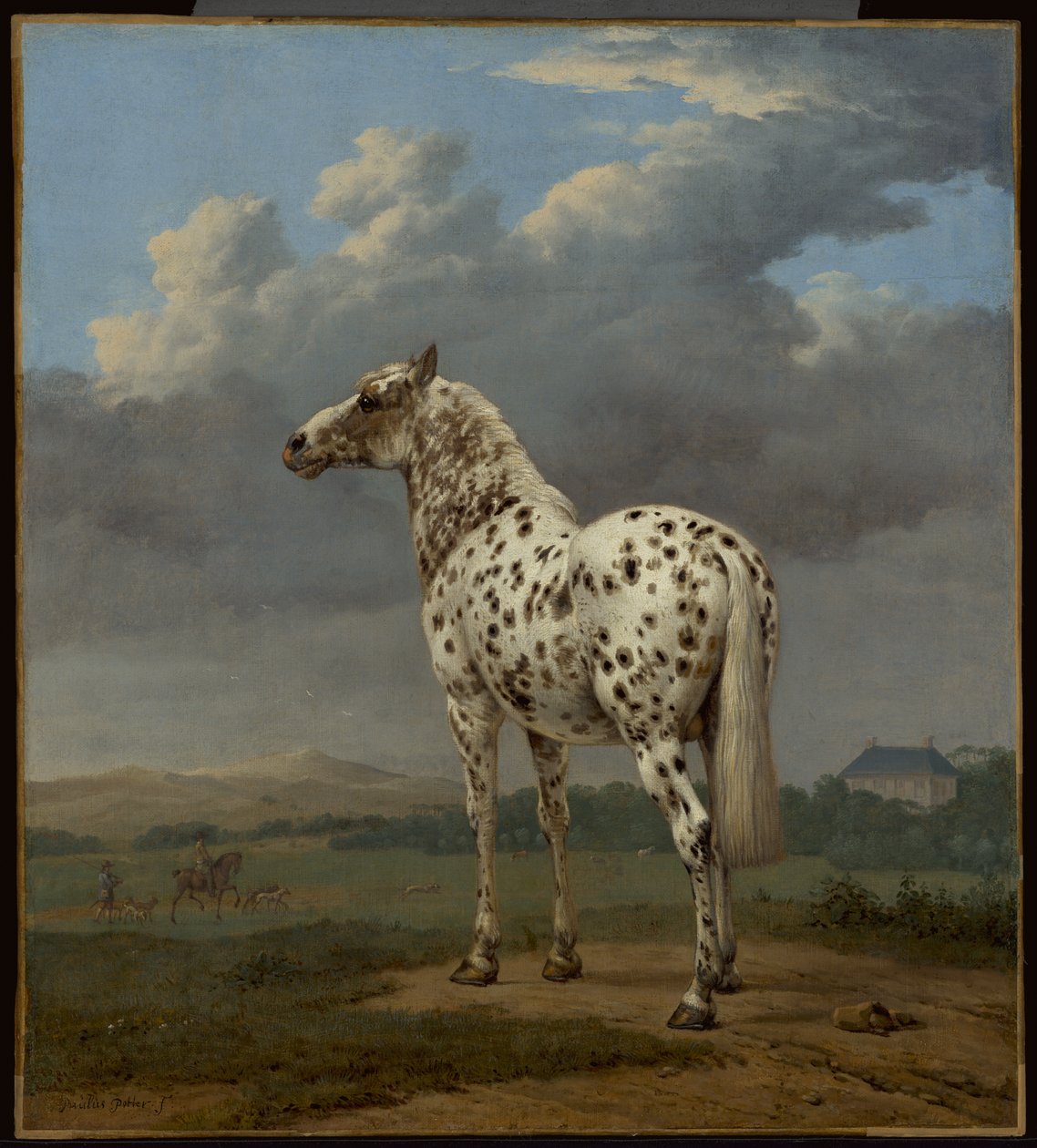 The Piebald Horse by Paulus Potter