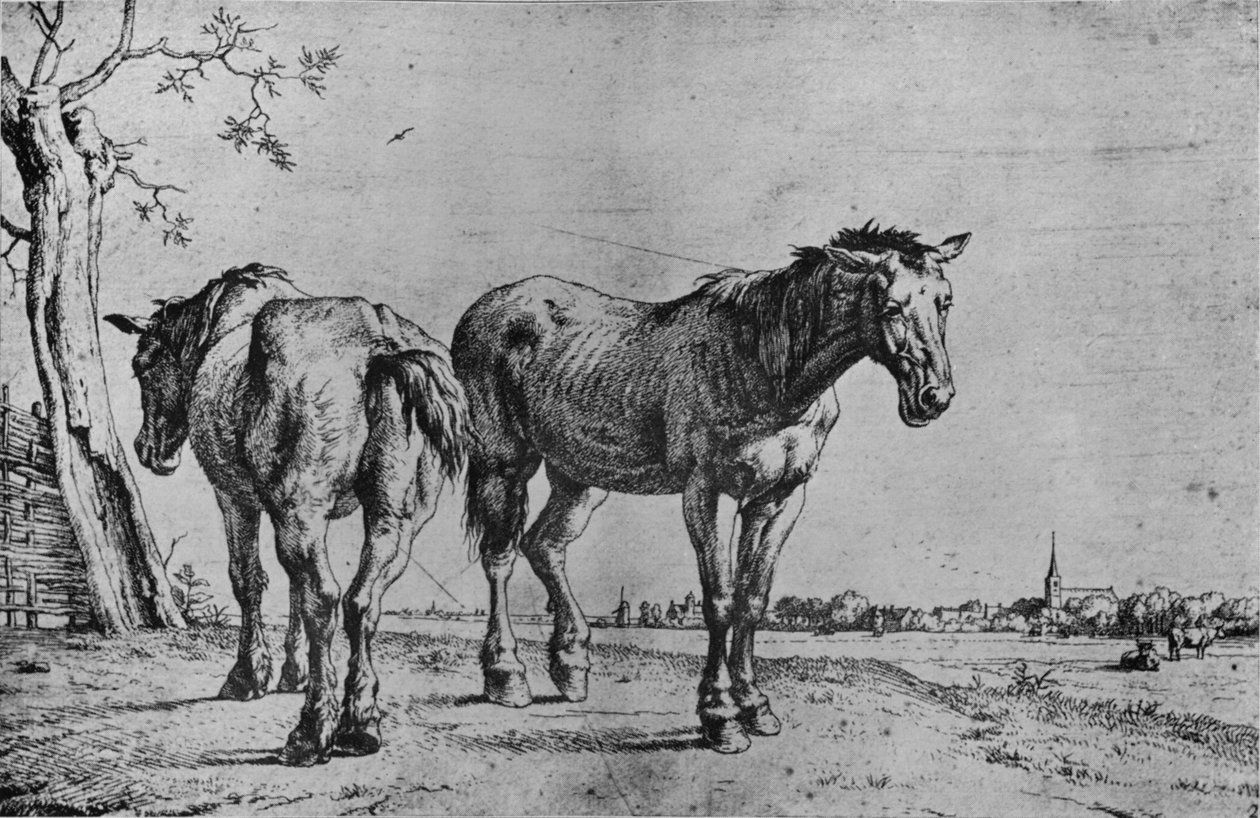 The Two Plough Horses, 1652 by Paulus Potter