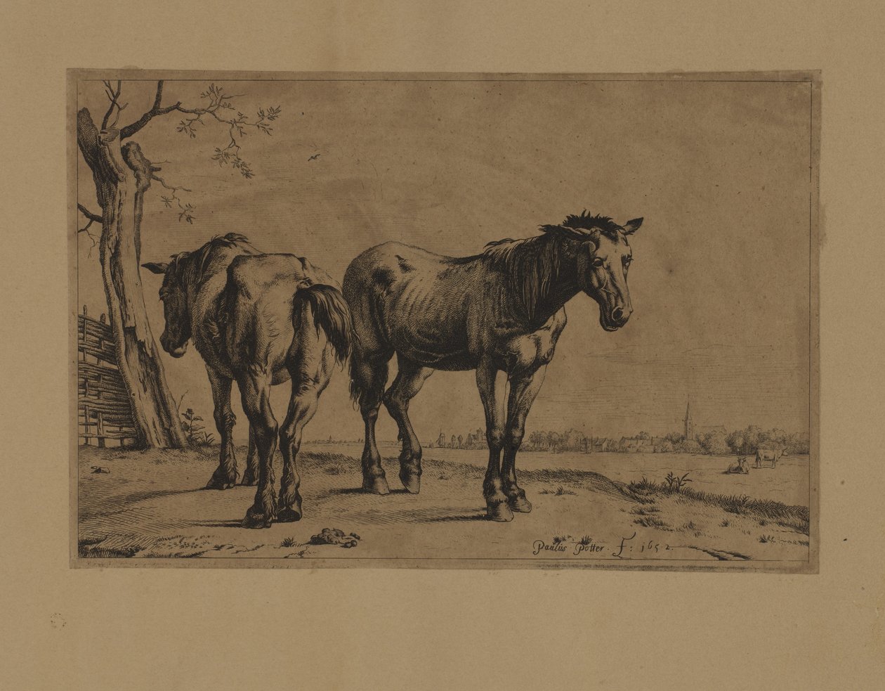 Two Horses by Paulus Potter