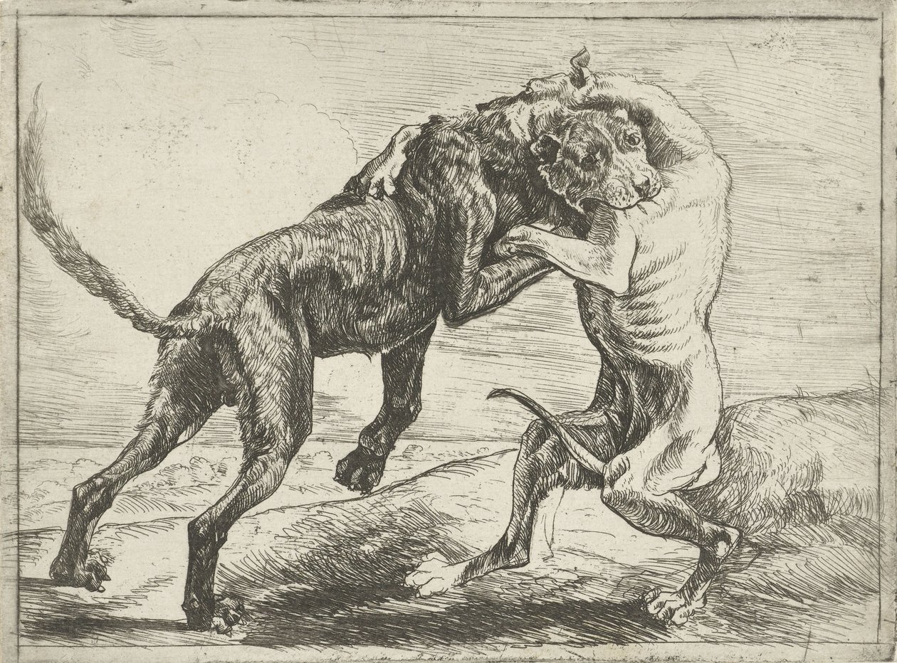 Two Fighting Dogs (Dogs) by Pauwels van Hillegaert