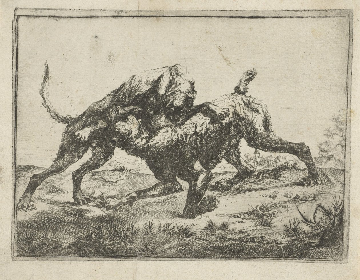 Fighting Dogs by Pauwels van Hillegaert