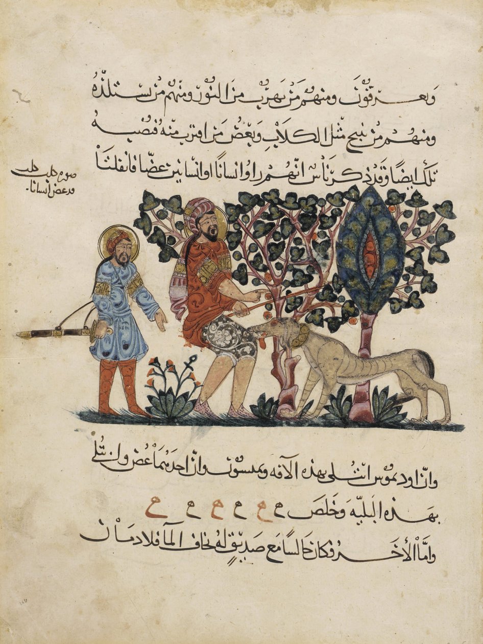 Folio from an Arabic Translation of the Materia Medica by Dioscorides by Pedanius Dioscorides