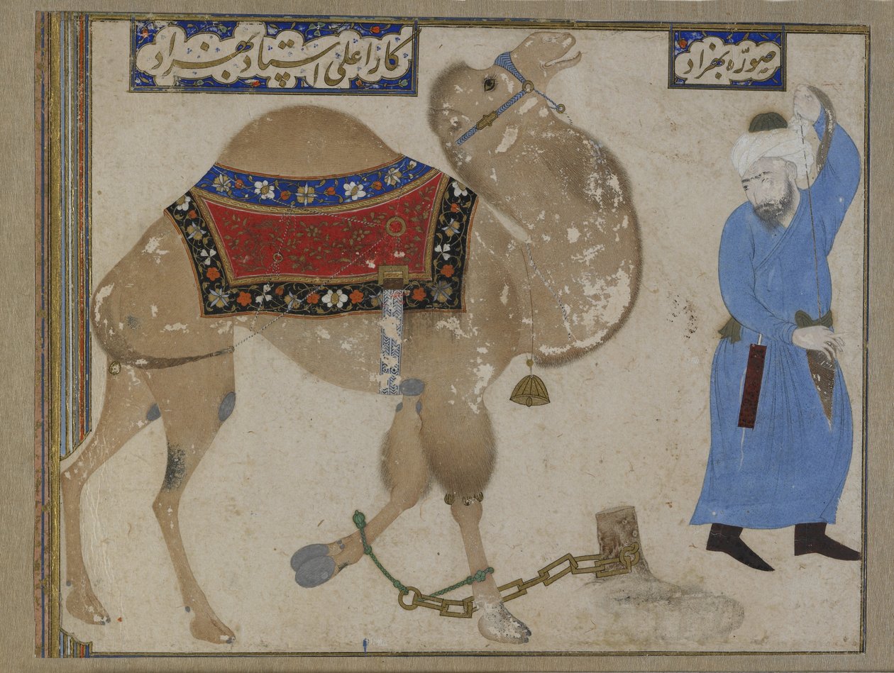 Fettered Camel and Keeper, Safavid Period by Persian School