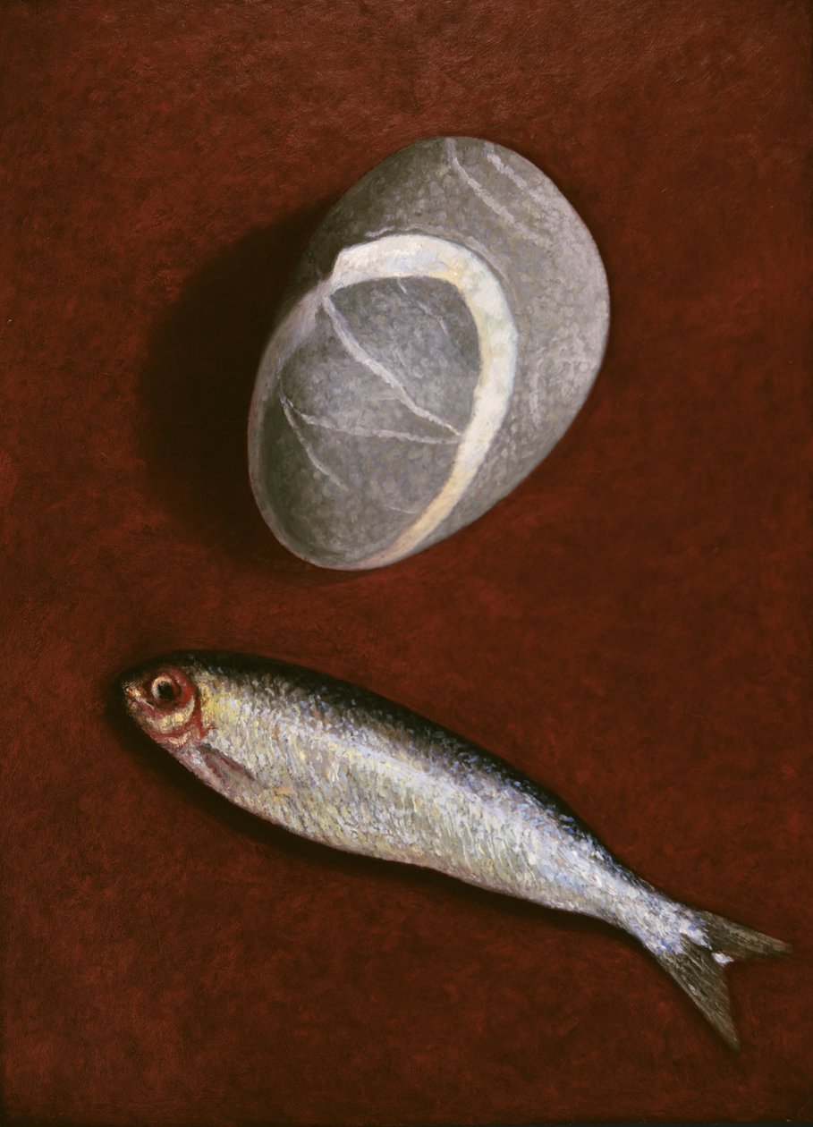 Fish and Rock Form by Peter Davidson