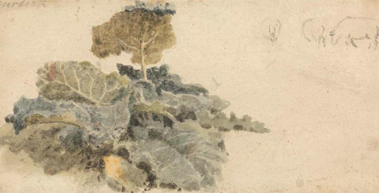 Study of Burdocks by Peter de Wint