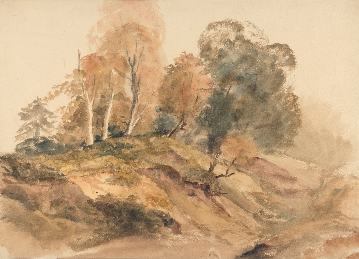 Trees on a Bank by Peter de Wint