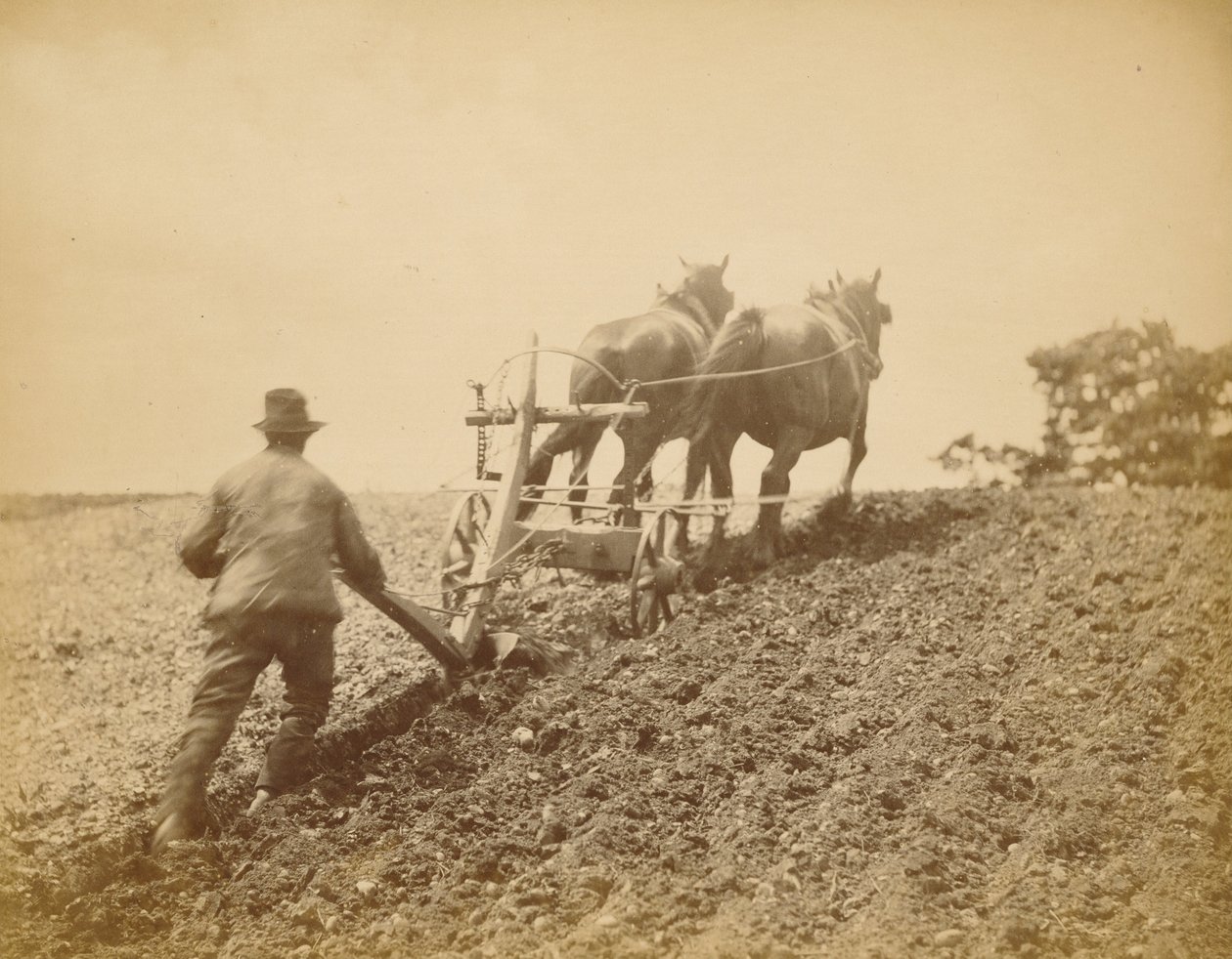 A Stiff Pull by Peter Henry Emerson