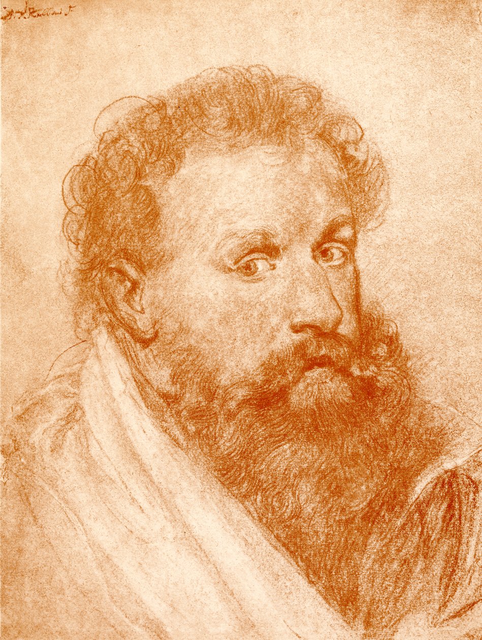 Portrait of a Stranger by Peter Paul Rubens