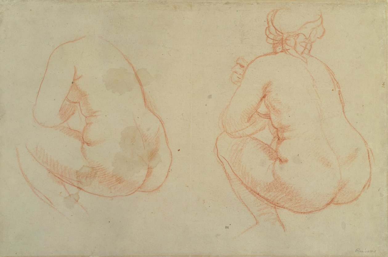 Studies of Female Nudes by Peter Paul Rubens