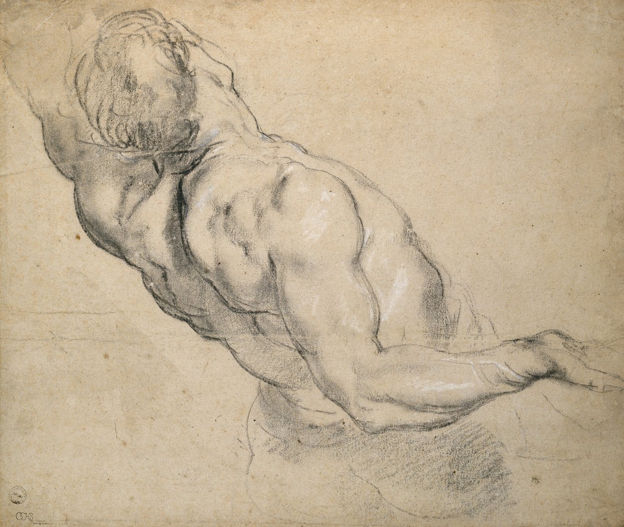 Study of a Nude Male Torso by Peter Paul Rubens