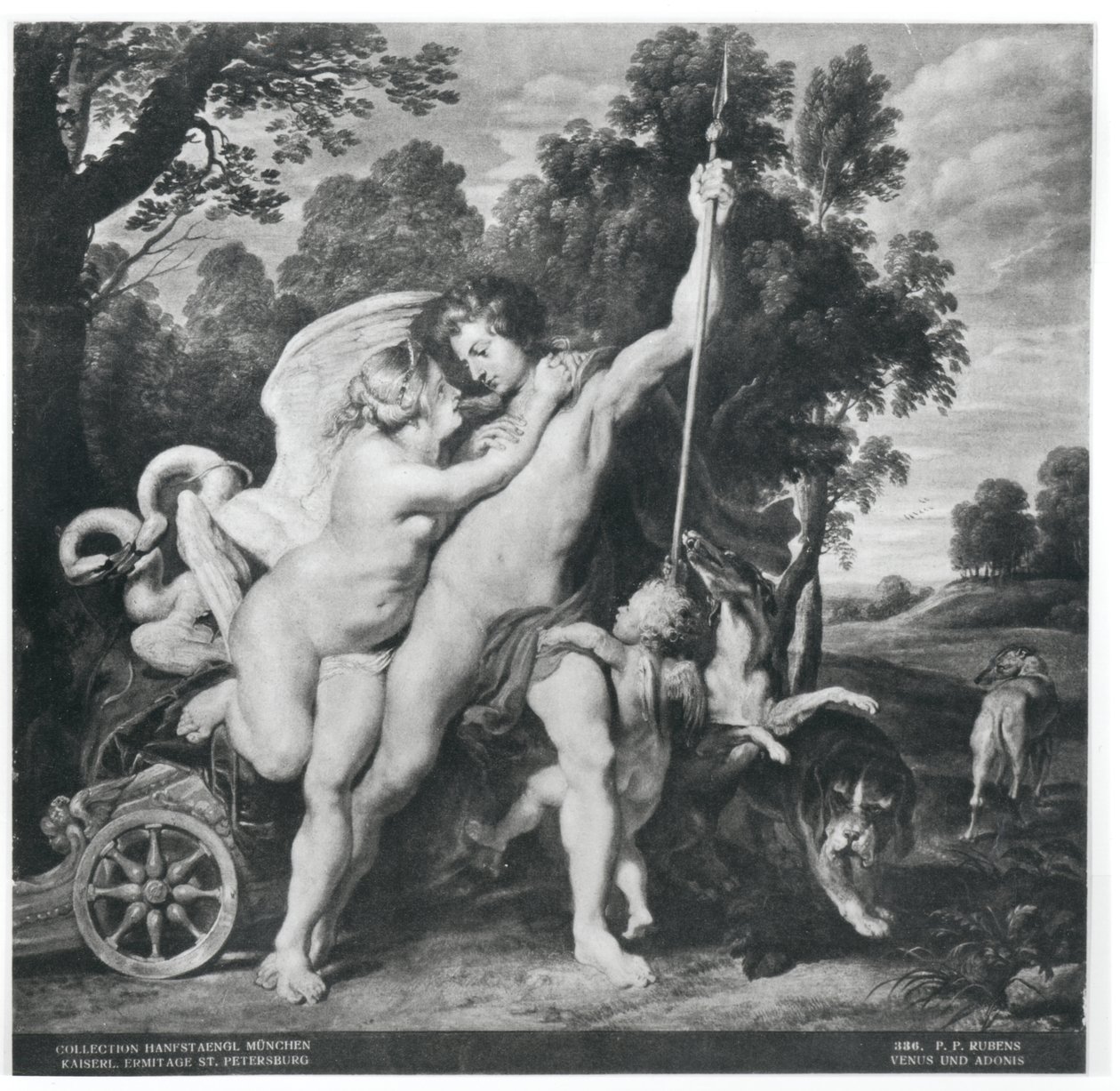 Venus and Adonis by Peter Paul Rubens