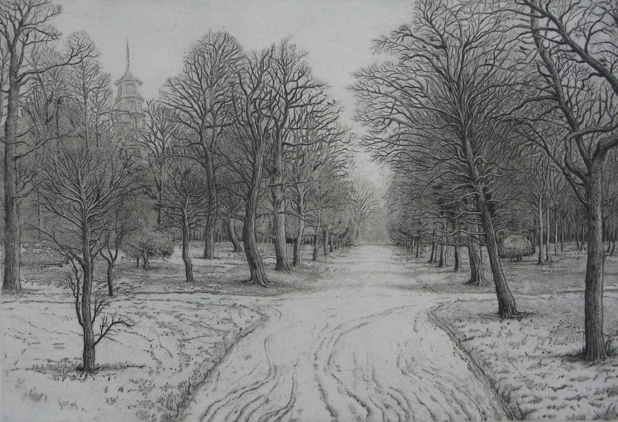 Kew Gardens in Winter by Peter A Ford
