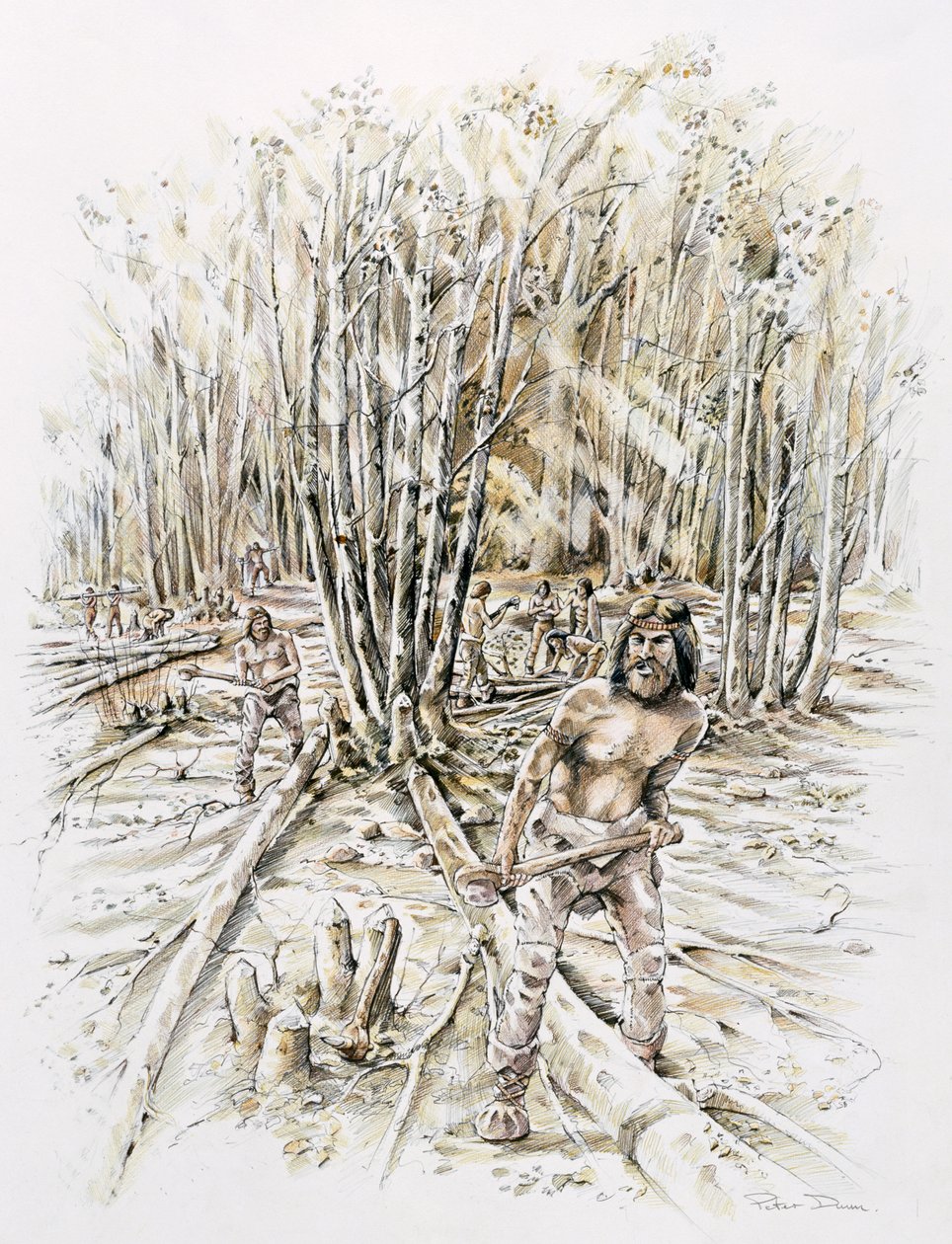 Uses of Flint - Coppicing by Peter Dunn