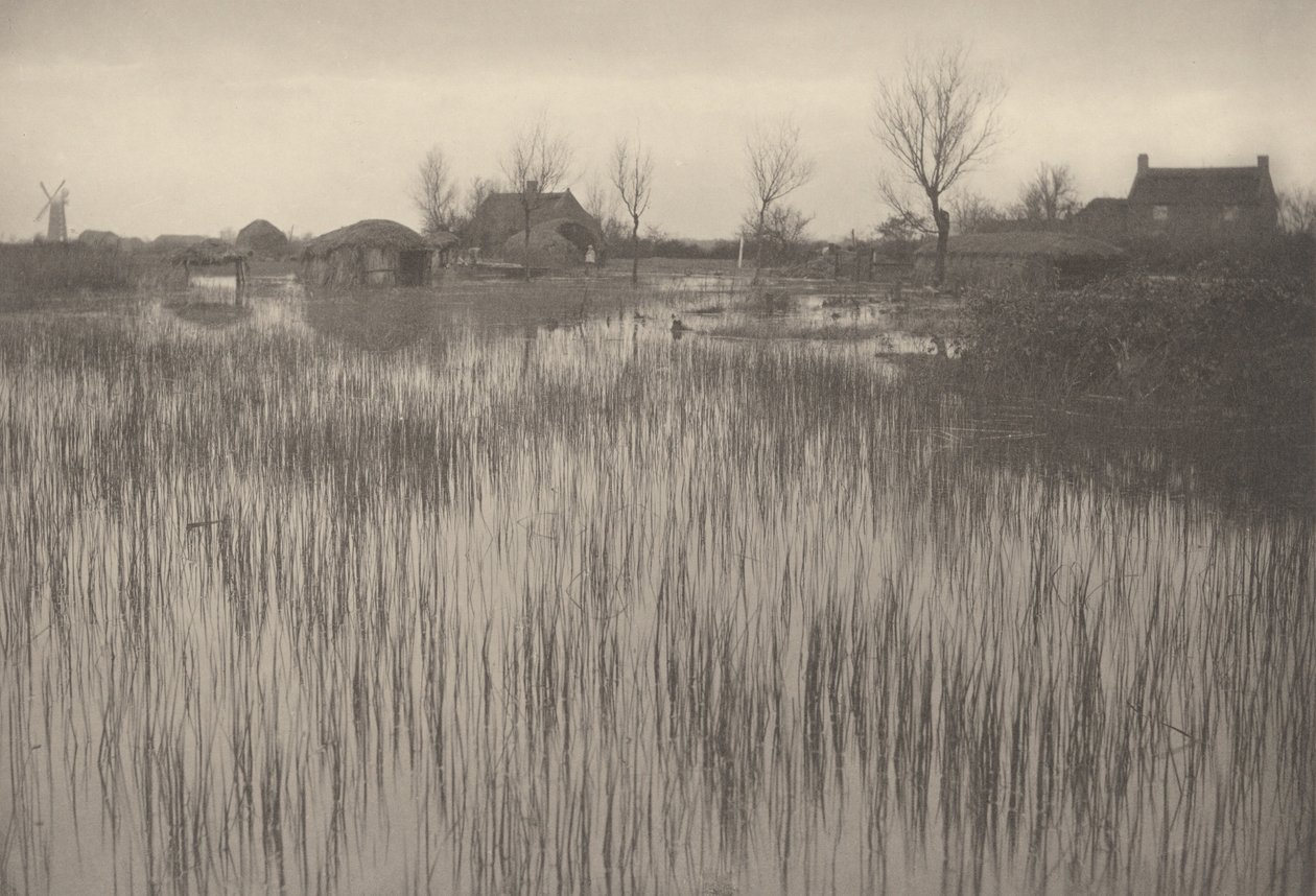 A Rushy Shore by Peter Henry Emerson