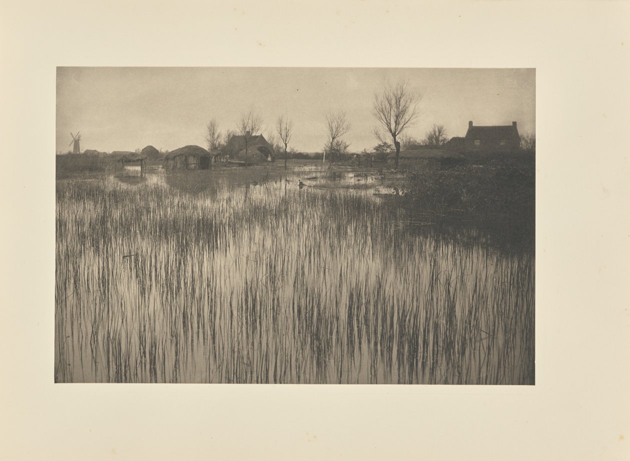 A Rushy Shore by Peter Henry Emerson