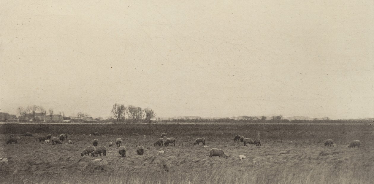 Marshes by the North Sea by Peter Henry Emerson