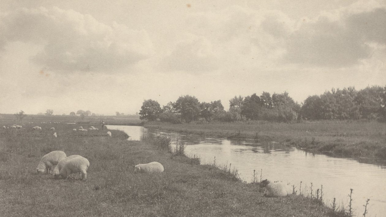 On the River Bure by Peter Henry Emerson