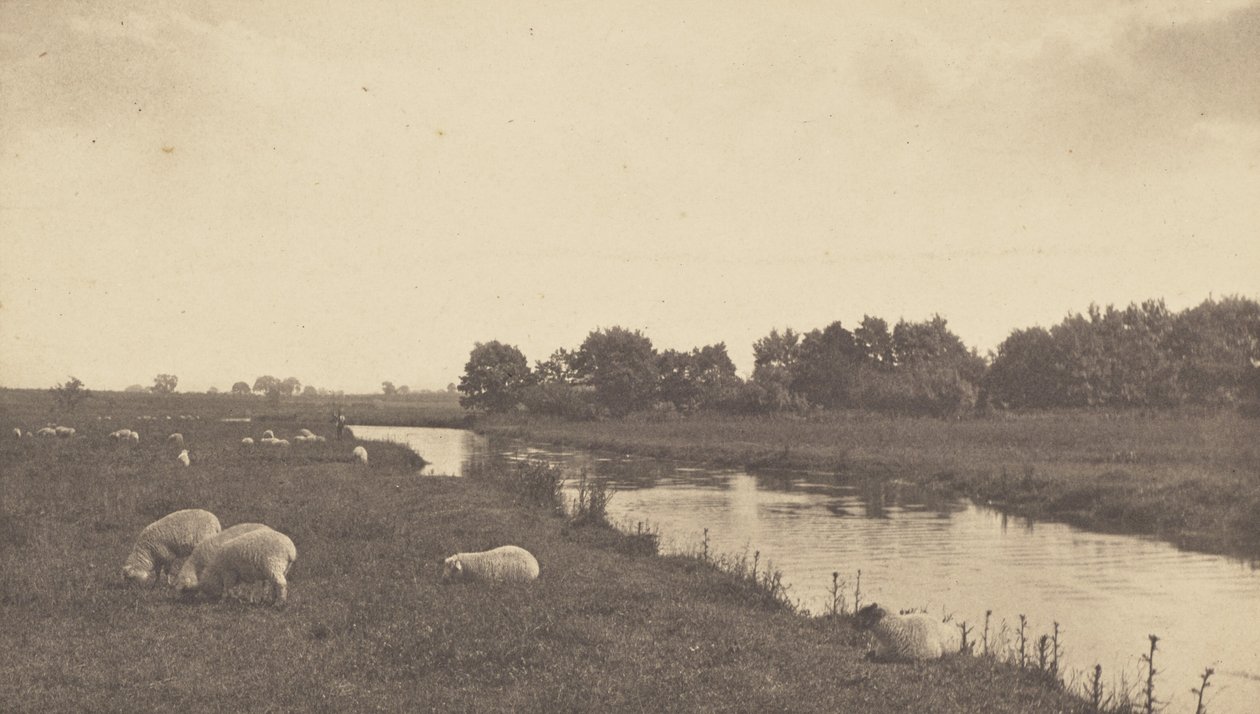 On the River Bure by Peter Henry Emerson