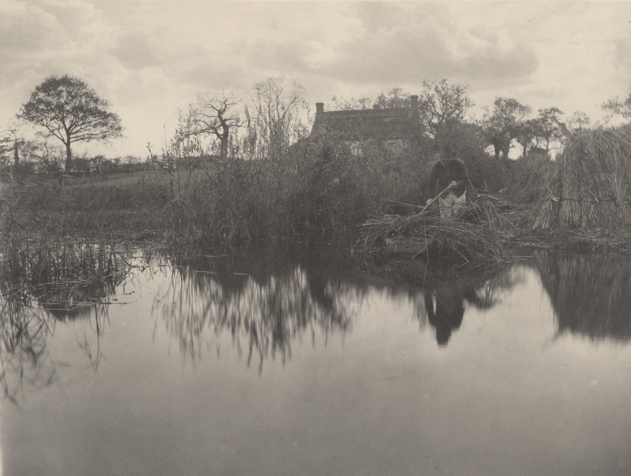 Quanting the Gladdon by Peter Henry Emerson