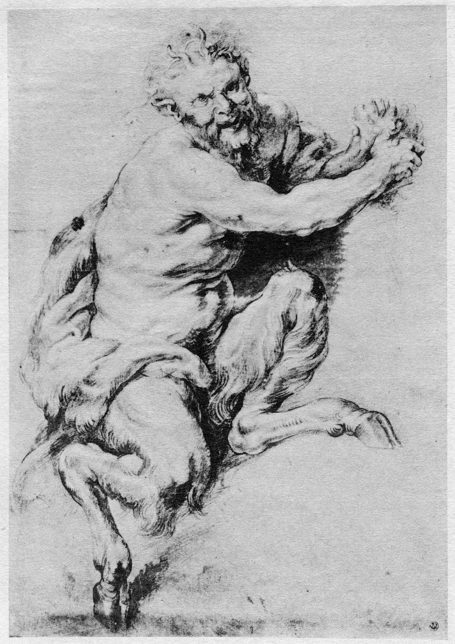 Study of a Satyr by Peter Paul Rubens