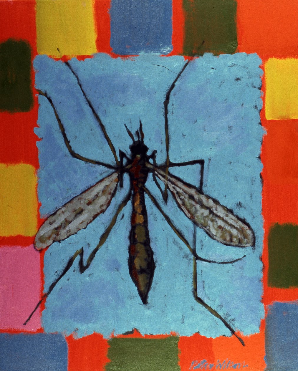Fly by Peter Wilson