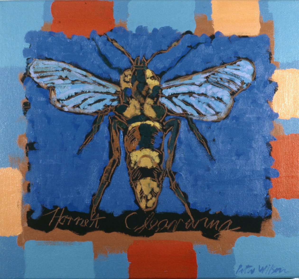 Hornet Clearwing by Peter Wilson
