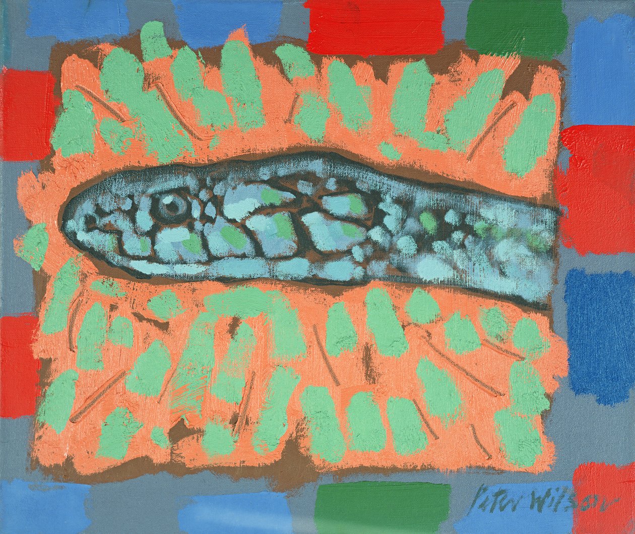Snake-Head by Peter Wilson